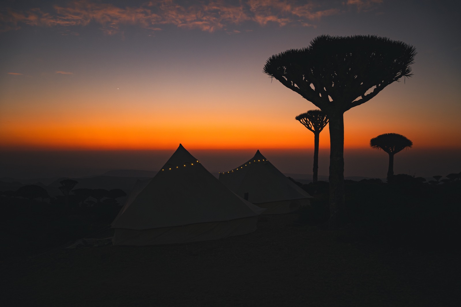 Photo from the Socotra Nights website